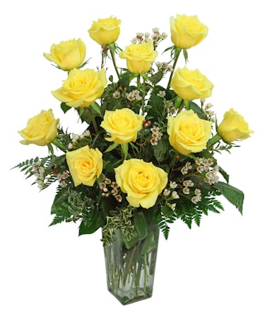 Dozen Long Stemmed Yellow Roses In Evansville In Zeidler S Flowers