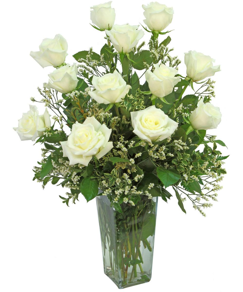 Long Stemmed White Roses from Zeidler's Flowers | Evansville, IN