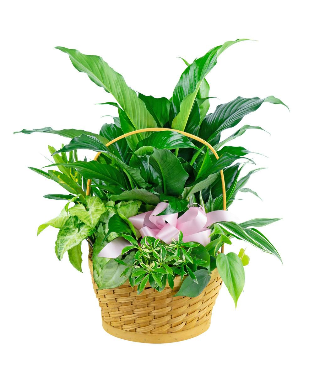 Evansville IN Sympathy Flowers Basket Planter Zeidler's Flowers