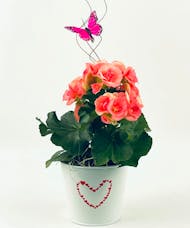 Blooming Plant - Heart Tin