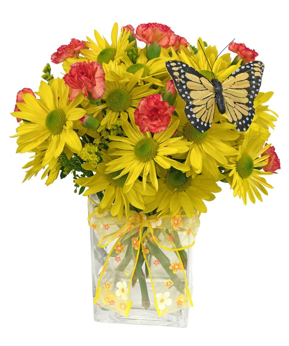 Sunny Day-Z | Zeidler's Flowers | Evansville Indiana ...