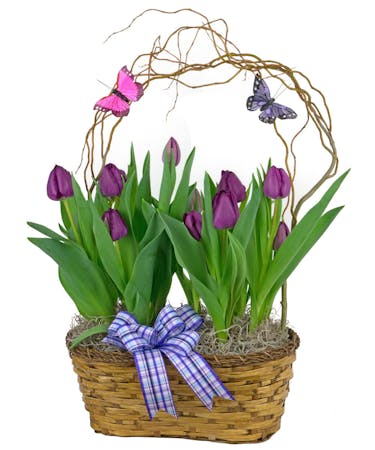 Double Tulip Basket