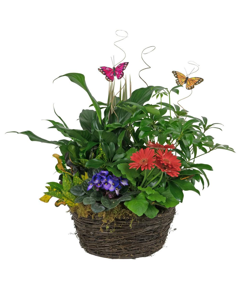 Spring Garden Zeidler's in Evansville and Newburgh