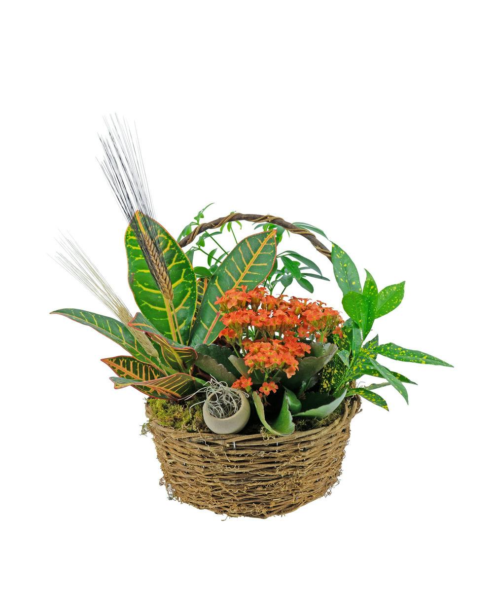 Sympathy Plants Evansville IN Sympathy Plant Delivery