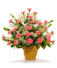 Cherish - Carnation Arrangement