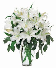 Serenity - All White Lilies