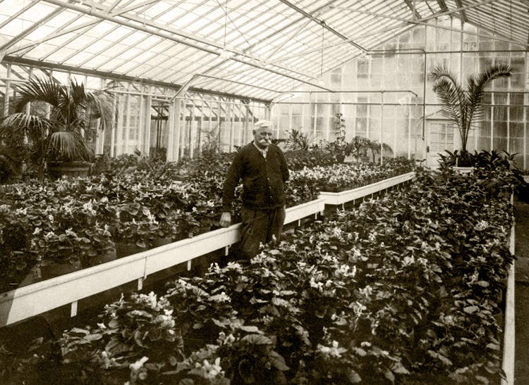 Inside the greenhouse with our founder, some time around the turn of the century