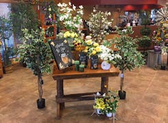 Gorgeous flower and plant arrangements in a wide range of pots and baskets